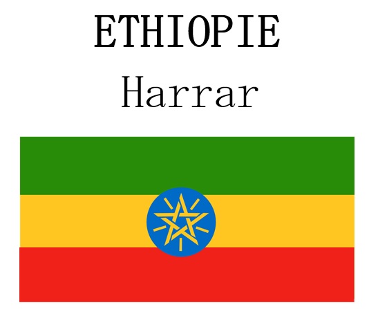 Ethiopie Moka Harrar