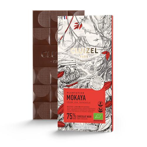 chocolat - plantation - dessertine - cluizel - biologique - cacao